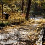 В Киеве зафиксировали первый “минус”: безморозный период длился почти 200 дней