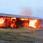 Россияне били по Никопольщине артиллерией и дронами: ранили женщину