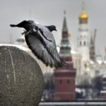 Заявления Путина о «нелегитимности» Зеленского свидетельствуют о нежелании Кремля идти на переговоры – ISW