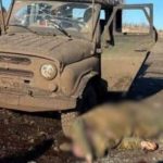 Трое “двухсотых” капитанов армии РФ: в ГУР рассказали об операции с участием HIMARS и дронов