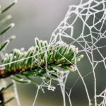 Украину накроют мокрый снег, дождь и сильный ветер 