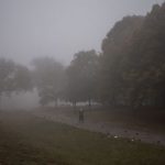 Жителей Киева предупредили о сильном тумане