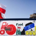 Уровень симпатии украинцев к полякам упал: повлияли протесты фермеров и исторические страхи