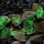 Монголия и Orano договорились о сделке по добыче урана на сумму $1,6 млрд