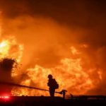 Количество погибших из-за лесных пожаров в США возросло до 24