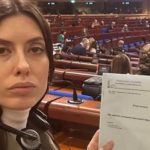 Глава украинской делегации в ПАСЕ: Грузию выгонят из ассамблеи на следующей сессии