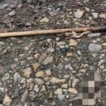 На Сумщине обнаружили тела двух людей: вероятно, погибли в результате обстрела