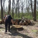 Німеччина виділила Україні $400 тисяч на проведення інвентаризації лісів і створення лісового кадастру