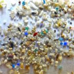 Микропластик в мозге человека: ученые зафиксировали тревожный рост загрязнения