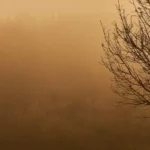 Грозит ли Украине «облако пыли»: в Минприроды рассказали о состоянии качества воздуха