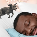 К чему снится собака: значение сна и толкование