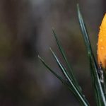 В Украину идут дожди