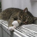 Мінгромад оприлюднило дані про опалювальний сезон у регіонах України: де відключають