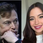 Илон Макс устроил месть любовнице, которая родила ему 13-го ребенка: “Хочет закрыть рот Эшли”