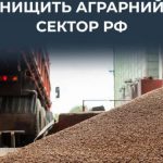 ЦПД: в Росії обвалився екпорт зерна