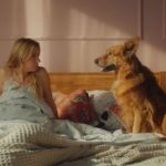 Кто сыграл лучше – актеры или собаки: обзор комедии с Лесей Никитюк “Песики”
