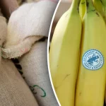 Стоит ли покупать продукты с логотипом зеленой лягушки: что означает этот символ