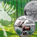 Національний банк ввів у обіг пам’ятну монету “Чорнобиль. Відродження. Лось європейський”