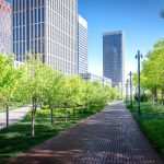 Почему в каждом городе обязательно должны быть парки и растения: объяснение специалистов