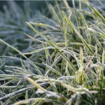 Погода готовит неприятный сюрприз: синоптики предупредили украинцев об опасных метеорологических явлениях