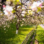 Когда ожидать потепления в Украине: синоптик назвала дату