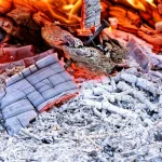 Какие растения нельзя удобрять золой и как ее нельзя использовать?