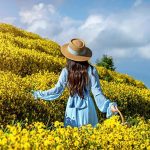 13 мая в Украине: день праздников, традиций и символов природы