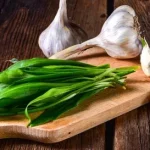 Какой чеснок полезнее: зеленый или старый?