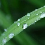 В четверг в Украине будет по-весеннему тепло, но местами пройдут дожди