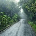 В какой стране платят за дождь: как работает необычный экологический налог