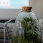 В Україні запрацює Зелена платформа – цифровий каталог доступних програм зеленого фінансування