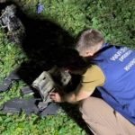 Прокуратура сообщила, какими дронами Россия била по Харькову