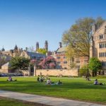 Йельский университет готовит продажу акций на сумму $2,5 млрд