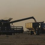 В Україні почалися жнива