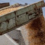 ЄС та Україна домовилися про нові умови імпорту агропродукції