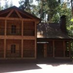 СМИ: Мама экс-прокурора Кизя купила дом на базе таможенников в Конча-Заспе