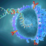 Американский AbbVie покупает разработчика клеточной терапии Capstan за $2,1 млрд