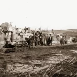 Компенсации для потомков  депортированных с Польши: Верховная Рада приняла новый закон