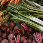 Лучшие подкормки для моркови и свёклы в июле: как получить сладкий и крупный урожай