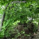 Не дали врагу закрепиться на новых позициях: ССО показали налет в приграничье