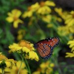 На выходных прогнозируют дожди, а в понедельник жара спадет