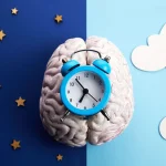 Феномен биологических часов: как хронотип влияет на здоровье и продуктивность