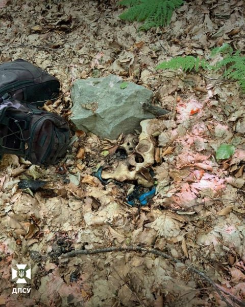 В Карпатах на границе с Румынией нашли скелет человека и документы 36-летнего мужчины