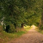 В воскресенье Украину прогреет до 27°, без осадков