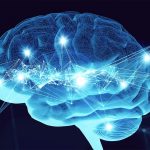 7 неожиданных фактов о мозге, которые заставят вас удивиться