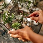 Тайный язык растений: как они передают сигналы друг другу