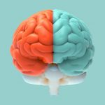 Почему одни люди легко запоминают цифры, а другие — лица