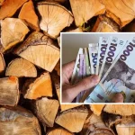 Помощь на отопление: кто и как может получить деньги на твердое топливо в Украине