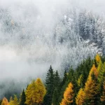 Погода в Украине на выходные 18-19 октября: похолодание и дожди