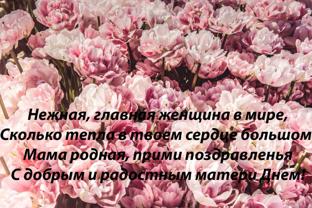 С Днем матери: красивые и душевные поздравления в прозе, стихах, СМС и картинках для самого близкого человека